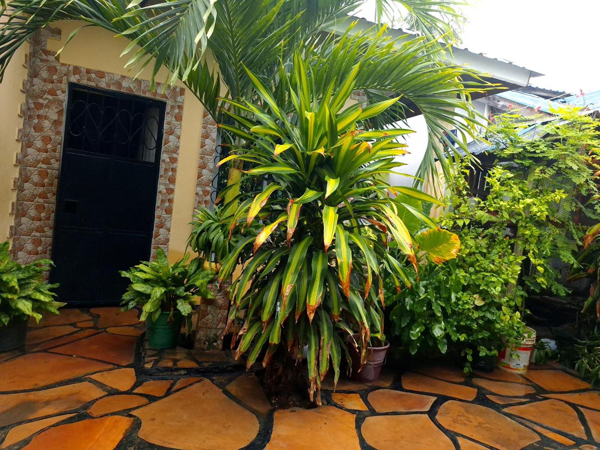 Mount Zion Guest House, Mtwapa Mtomondoni Mombasa Luaran gambar